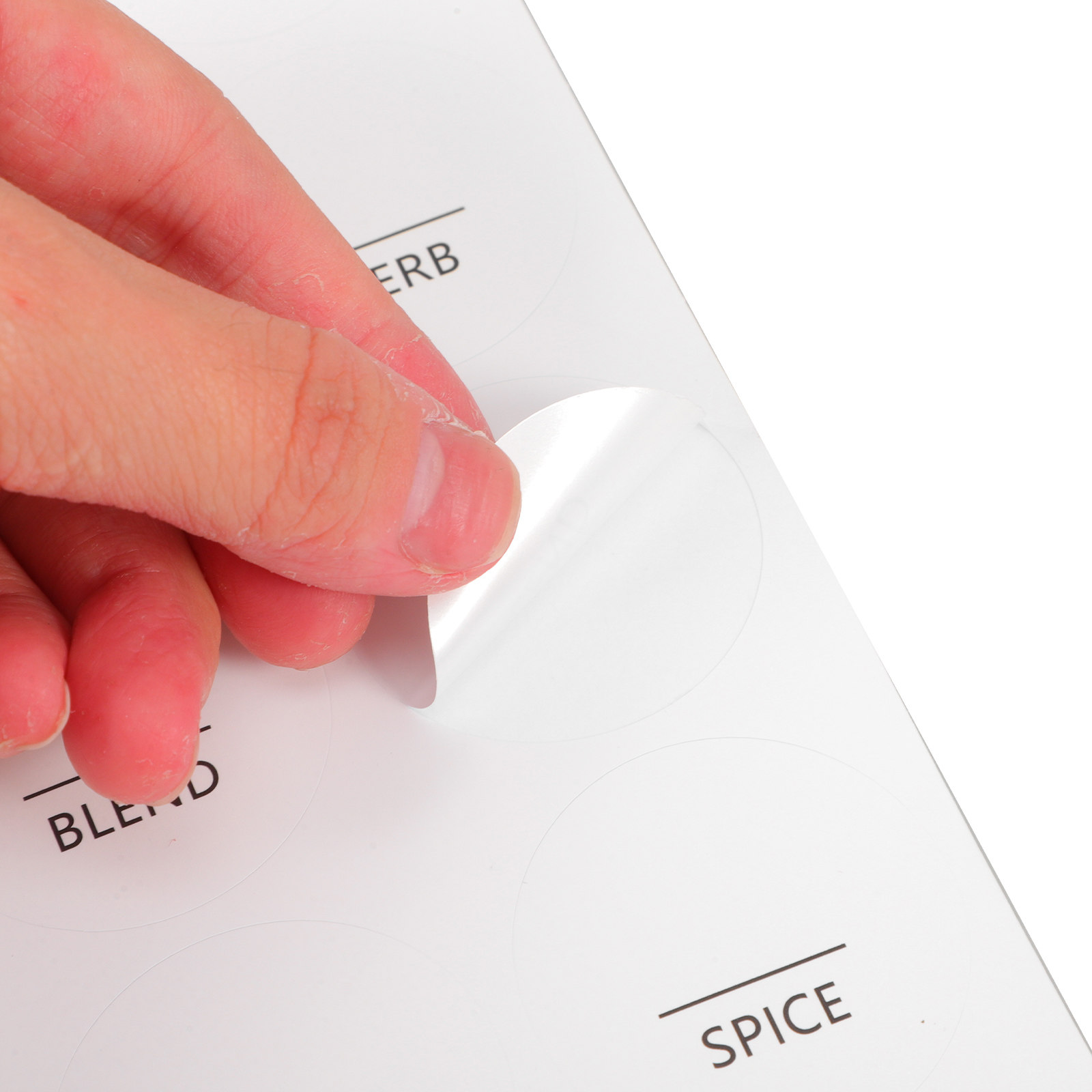 8 Sheets Waterproof Minimalist - Spice Jar Labels 评论和价格